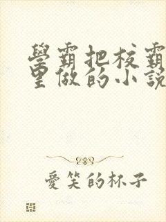 学霸把校霸往死里做的小说