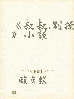 《叔叔,别撩我》小说封面