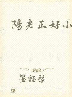 阳光正好小说