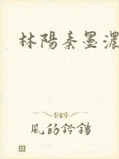 林阳秦墨浓度封面