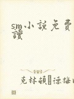 sm小说免费阅读