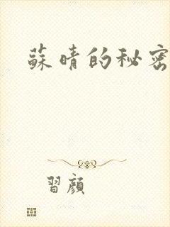 苏晴的秘密小说