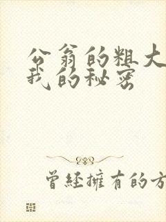 公翁的粗大放进我的秘密