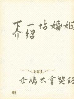 下一站婚姻剧情介绍