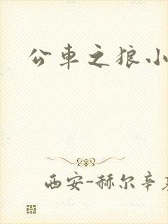 公车之狼小说