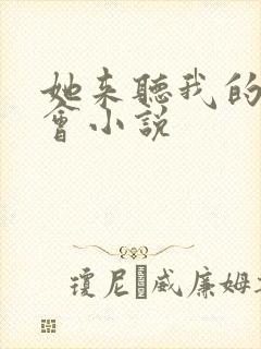 她来听我的演唱会小说