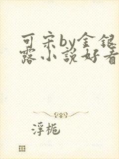 可宋by金银花露小说好看吗
