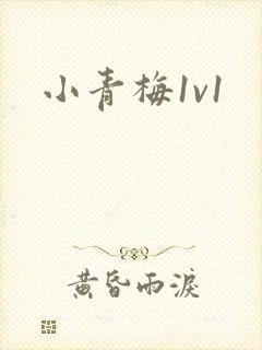 小青梅1v1