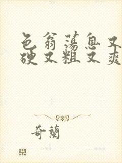 色翁荡息又大又硬又粗又爽封面