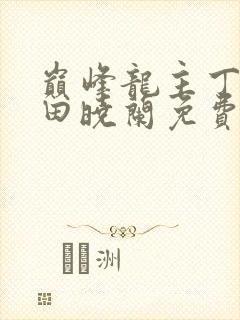 巅峰龙主丁长顺田晓兰免费阅读