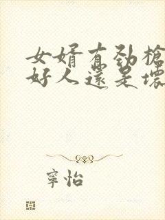 女婿有劲枪枪是好人还是坏人