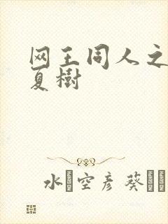 网王同人之桃生夏树