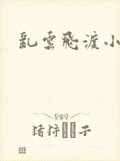 乱云飞渡小说