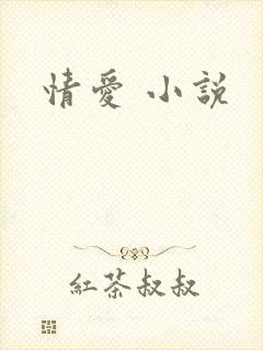 情爱 小说