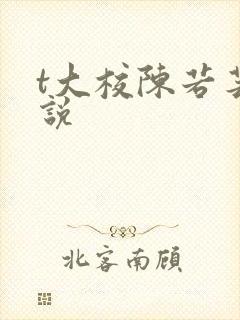 t大校陈若芸小说