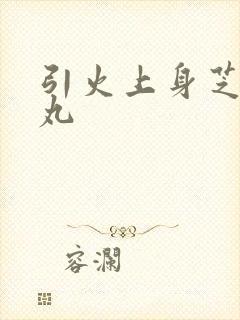引火上身芝麻糖丸