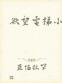 欲望电梯小说