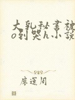 大乳秘书被cao到哭h小说封面