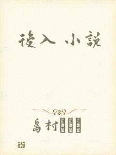 后入 小说