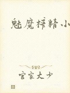 魅魔榨精小说封面