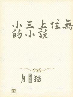 小三上位无三观的小说封面