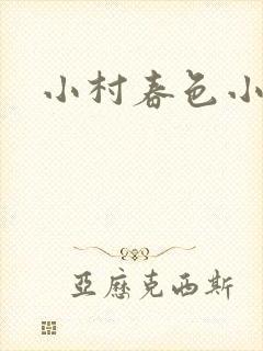 小村春色小说
