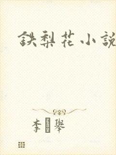 铁梨花小说