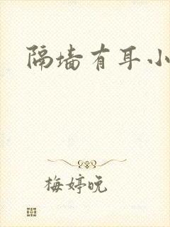 隔墙有耳小说