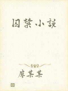 囚禁小说