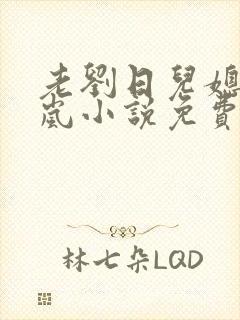 老刘日儿媳妇张岚小说免费阅读封面