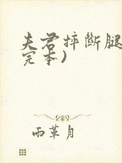 夫君摔断腿后(完本)