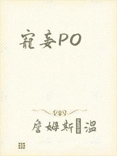 宠妾PO