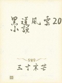 黑道风云20年小说封面