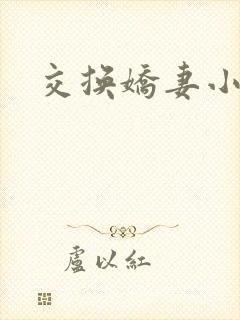 交换娇妻小说