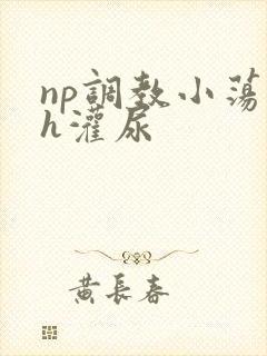 np调教小荡货h灌尿封面