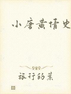 小唐黄倩史