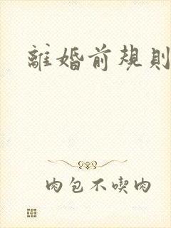 离婚前规则小说