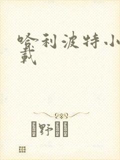 哈利波特小说下载封面