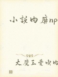 小说肉糜np封面