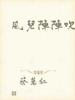 风儿阵阵吹封面