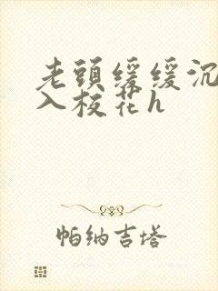 老头缓缓沉腰进入校花h封面