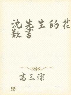 沈先生的花式调数书