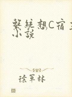 系统想C宿主的小说