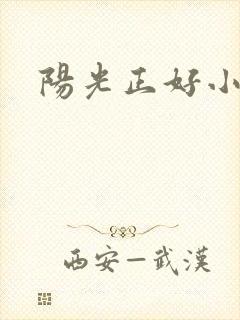 阳光正好小说封面