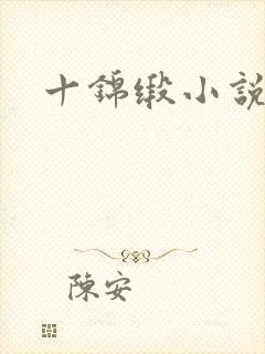 十锦缎小说