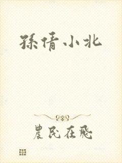 孙倩小北封面