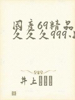 国产69精品久久久久999小说