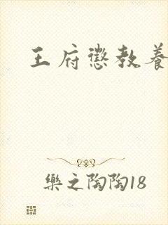 王府惩教养日常