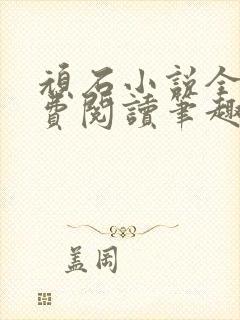 顽石小说全文免费阅读笔趣阁封面