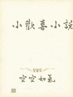 小欢喜小说